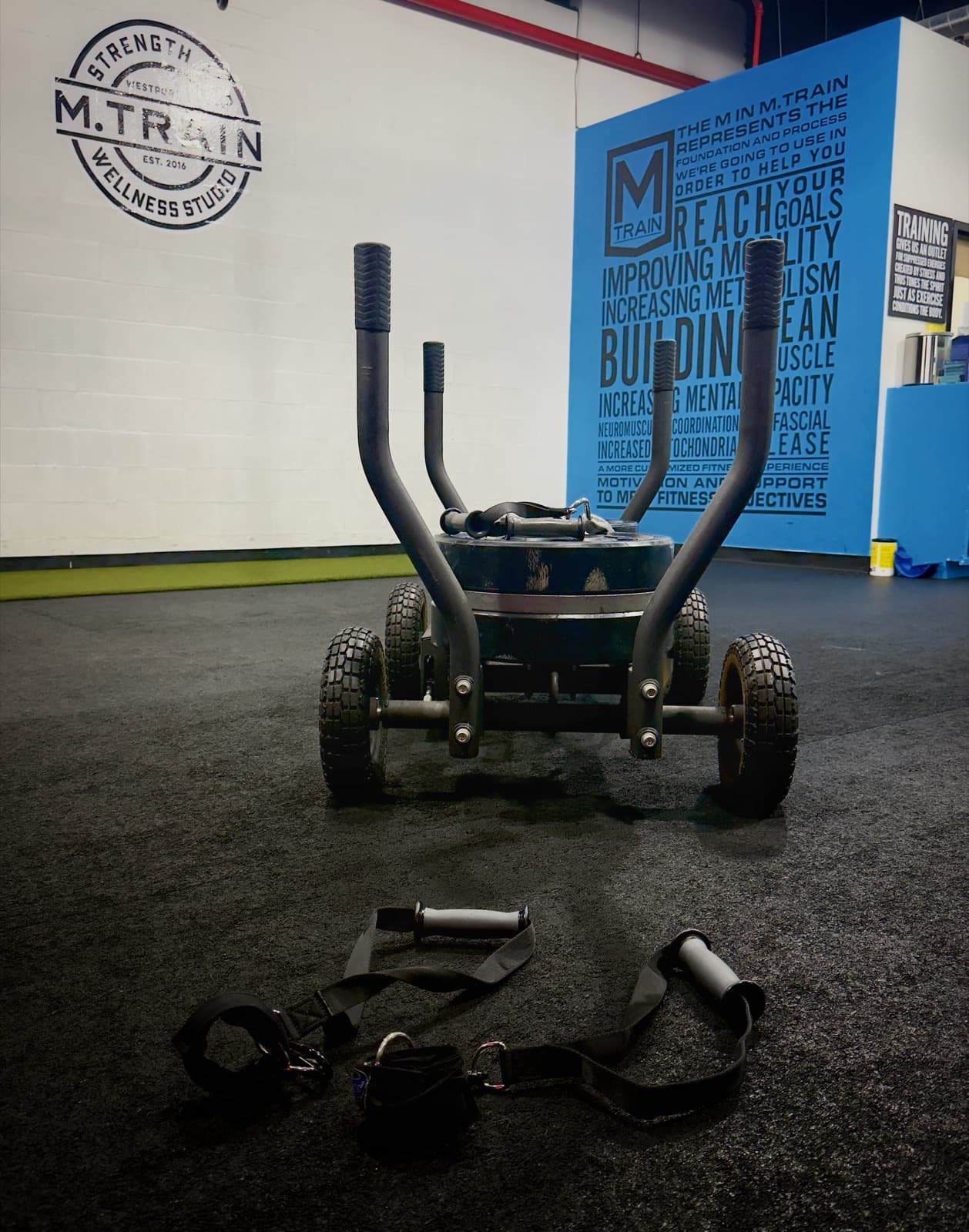 Training sled and suspension straps by the M.Train brand walls